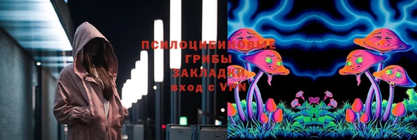амф Беломорск