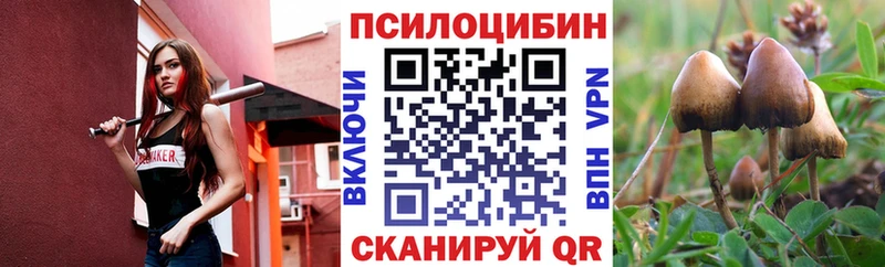 Псилоцибиновые грибы ЛСД Бородино
