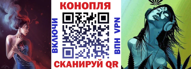 где продают   Бородино  Марихуана индика 